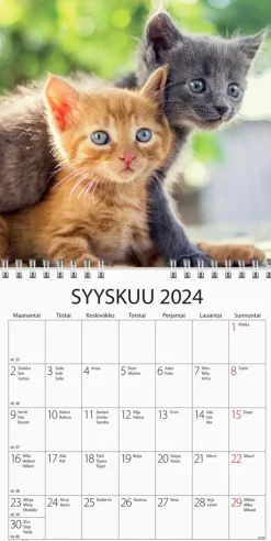 New Seinakalenteri 2024 Kissanpennut Kalenterit