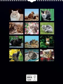 Discount Seinakalenteri 2024 Kissat Kalenterit