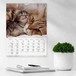 Discount Seinakalenteri 2024 Kissat Kalenterit