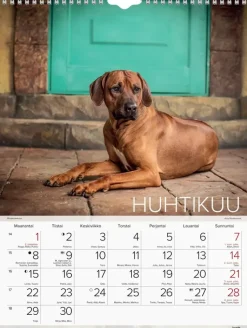 Outlet Seinakalenteri 2024 Koirat Kalenterit
