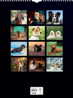 Outlet Seinakalenteri 2024 Koirat Kalenterit