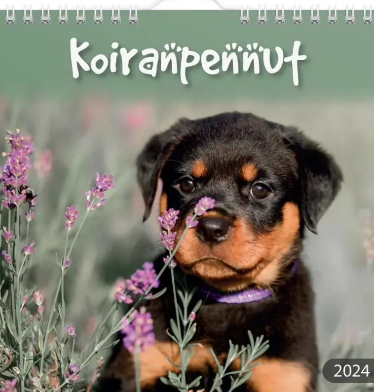 New Seinakalenteri 2024 Koiranpennut Kalenterit