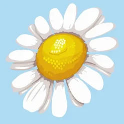 Figured’Art Askartelutarvikkeet-Figuredart Mini Numeromaalaus Kukka