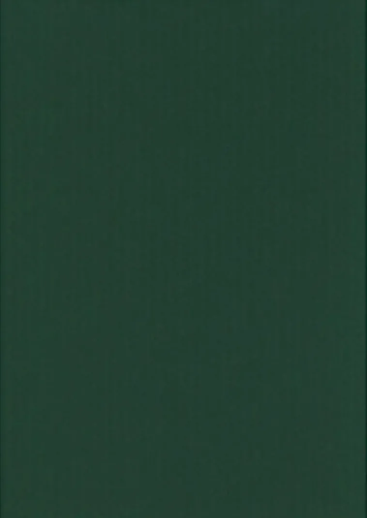 ngit A4 220 Gsm Joulun Vihrea 5 Ark/Pss Askartelutarvikkeet