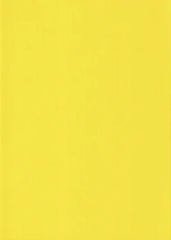 Karto Askartelutarvikkeet-nki Keltainen 50X70Cm 220Gsm 5Ark/Pss