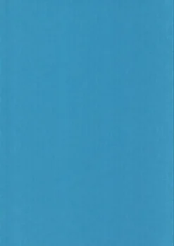 Karto Askartelutarvikkeet-nki Vaaleansininen 50X70Cm 220Gsm 5Ark/Pss