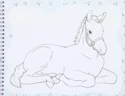 Discount Varityskirja Askartelutarvikkeet